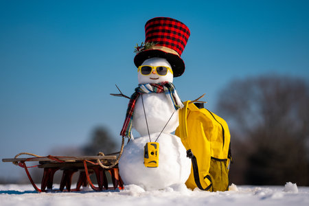Snowman with sunglasses and backpack. Funny snowman holding suitcase on snowy trip. Christmas traveler snowman with luggage. Snowman on winter vacation with camera and hat. Winter theme.の写真素材