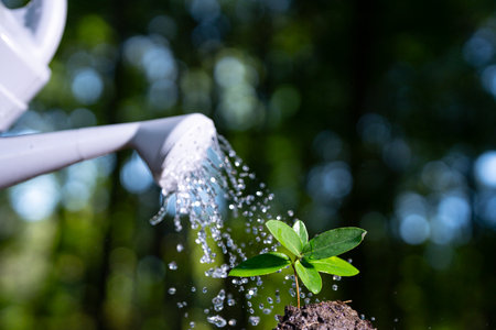 Watering can pouring water on plant. Plant growing with irrigation drops. Farmers watering plant. Watering seed in earth with watering can. Irrigation system. Wet soil and green leaves.の写真素材