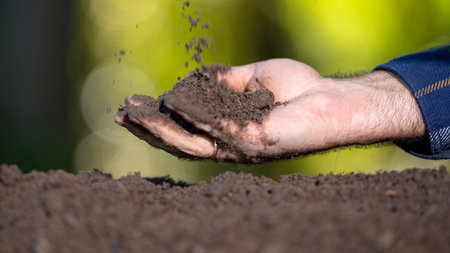 Hands holding fertile soil close-up. Checking soil. Dirty clay and organic fertilizer. Eco farming...