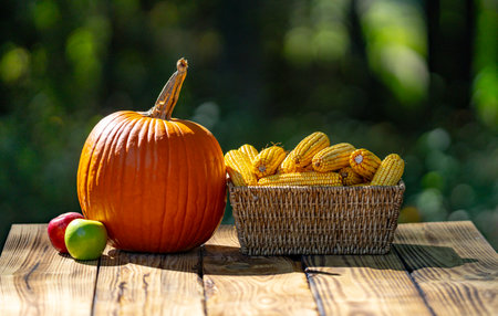 Pumpkins and corn on wooden table during autumn harvest. Organic pumpkin produce from farm. Raw pumpkin harvest with natural background. Farm fresh pumpkins with rustic wooden surface.の写真素材