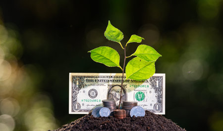 Earning money concept. Income growth idea with plant. Earning growth. Investment and future earning....