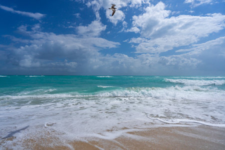 Ocean wave motion on sea shore. Summer sea breeze. Sea nature backdrop. Peaceful ocean. Dreamy ocean horizon. Coastal ocean paradise wallpaper. Seafoam waves.の写真素材