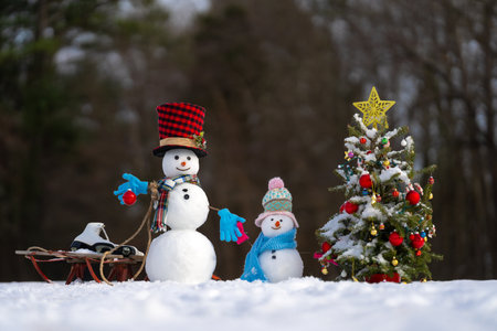 Funny snowman in winter background. Snowman in winter holiday. Decorated snowman. Greeting card for New Year and Christmas poster. Family snowmen with snow background. Xmas winter banner.の写真素材