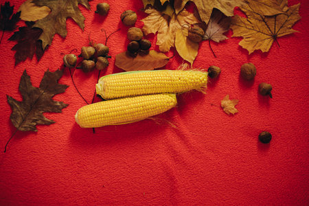 A bunch of yellow-golden leaves, corn and acorns with nuts lie on a red plaid. The concept of autumn holidays, fairs.の写真素材