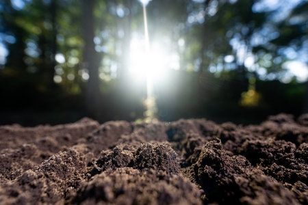 Soil and organic fertilizer concept. Farming with soil. Earth care and melioration. Cultivate land. Compost fertility.の写真素材