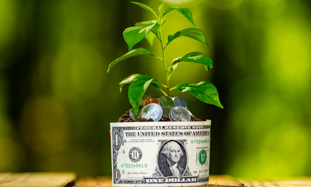 Earning money concept. Income growth idea with plant. Earning growth. Investment and future earning. Green growth financial success. Cash and coin tree symbolizing earning and income.の写真素材