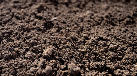 Fertile farm soil. Topsoil with humus and clay. Cultivated ground in rural farm field. Freshly plowed earth. Organic compost mixed into farm soil. Fertile soil. Groundwork and soil for cultivation.の写真素材