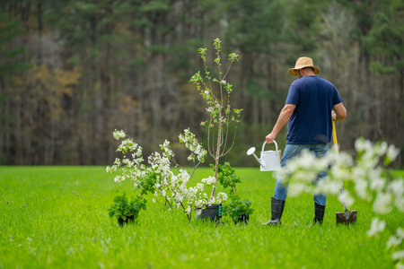 Worker planting tree. Farmer growing plants in backyard. Man working on the farm. Agricultural work outdoors. Backyard gardening lifestyle. Soil preparation for planting. Planting tree in green lawn.の写真素材