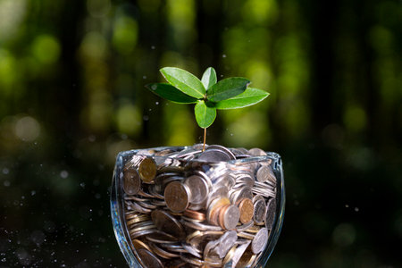 Green leaves sprouting from money for business growth. Savings and profit. Investment strategy and economic development concept. Earning money concept. Cash growth with nature. Financial planning.の写真素材