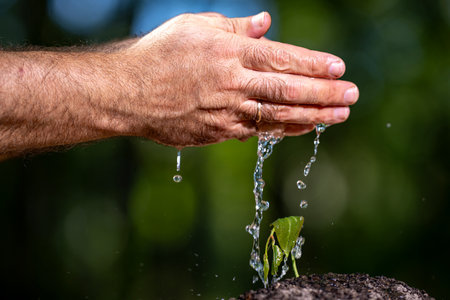 Farmers hands pouring water on cultivated crops. Close-up of hand watering seed in earth. Irrigation system concept.の写真素材
