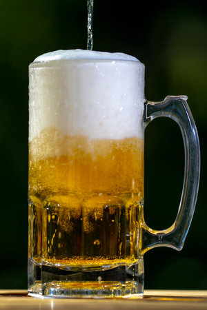 Freshly brewed craft lager with foam. Beer mug in summer nature. Sparkling amber ale beer with...