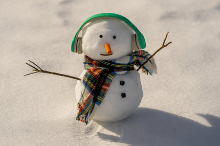 Funny snow man with scarf and hat. Snowman for Christmas card. Winter snowman in frozen landscape. Snow man wearing gloves and hat. Snowman in wintertime.の写真素材