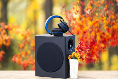 Autumn music. Headphones with speaker surrounded by fall leaves. Autumn musical mood background....