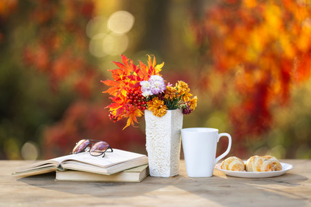 Cozy calm autumn. Comfort with the beauty of autumn nature. Autumn day. Cozy autumn day for reading and resting.の写真素材