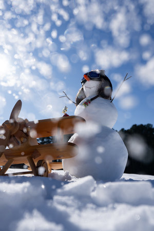 Snowman Christmas decorations. Snow man in snowy landscape. Snowman in winter nature. Snowman with carrot nose winter banner. Snowman outdoors with snowy hat.の写真素材