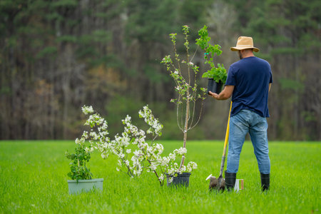 Gardener farmer working in spring garden. Gardener in garden with shovel. Mature gardener cultivating land. Mature farmer in orchard. Worker gardener planting seedling. Growing plants in backyard.の写真素材