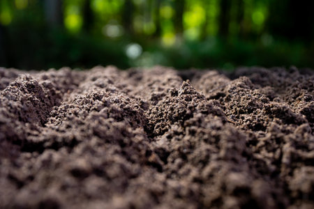 Fertile farm soil background. Humus and clay. Cultivated ground in rural farm field. Freshly plowed earth. Organic compost mixed into farm soil. Fertile soil. Groundwork and soil for cultivation.の写真素材