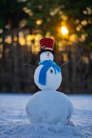 Snowman in winter outdoor park. Snow man in winter nature background. Snowman for festive winter greeting banner. Snowman with scarf and hat. Snowman outdoor winter holiday fun.の写真素材