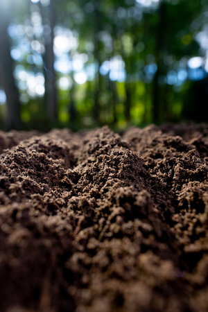Fertile farm soil. Topsoil with humus and clay. Cultivated ground in rural farm field. Freshly plowed earth. Organic compost mixed into farm soil. Fertile soil.の写真素材
