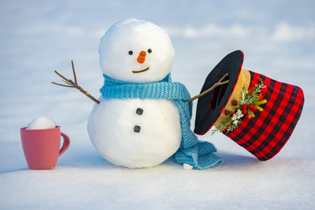Snowman with carrot nose. Winter snow man portrait. Cute snowman in snow winter. Snowman on snowy field. Happy snowman under blue sky.の写真素材