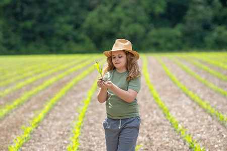 Eco farm. Child in eco-friendly corn field. Farming in green ecosystem. Eco farming concept. Organic...