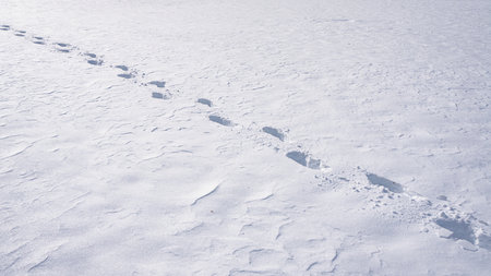 Winter trail covered with snowflakes. Snowy path winter design. Footpath in cold landscape....
