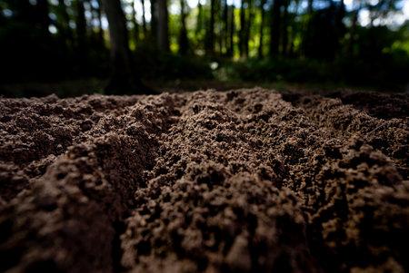 Cultivated ground in rural farm field. Freshly plowed earth. Organic compost mixed into farm soil. Fertile soil. Groundwork and soil for cultivation.の写真素材