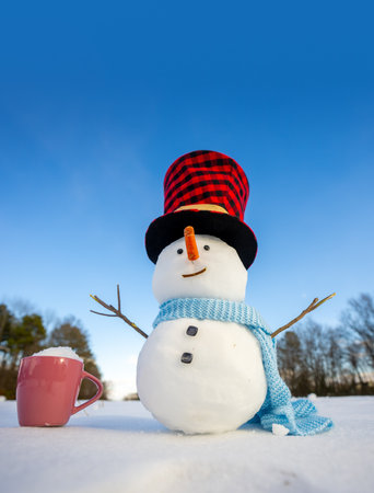 Cute snowman. Snowman standing in fresh snow. Funny snowman on snowy landscape. Happy snowman under blue sky. Blue winter tones.の写真素材