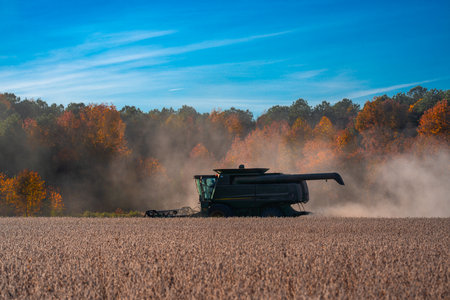Combine harvester in a wheat field. Harvesting on rural farm. Combine harvester machinery. Agricultural Combine harvester at work. Rural landscape with a combine harvester. Rural farming.の写真素材