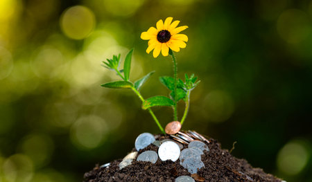 Coins with a plant. Saving and financial growth for a future. Plant tree growing out of a coins....