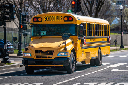 The yellow school bus waits at the traffic light. Students ride the school bus every morning. The...