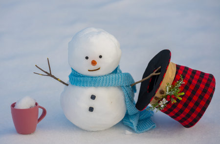 Snowman standing in fresh snow. Funny winter snow man scene. Snowman with carrot nose. Cute snowman in snow winter. Snowman in snowy meadow.の写真素材