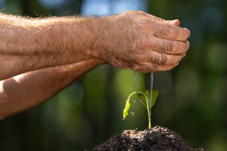 Hands watering plant in fertile soil. Seedling growing with irrigation drops. Farmers hands pouring water on cultivated crops. Close-up of hand watering seed in earth. Irrigation system concept.の写真素材