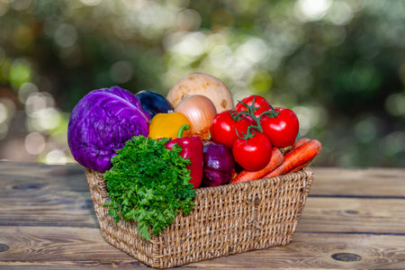 Summer harvest. Fresh vegetables harvested from the eco farm. Basket full of raw harvest vegetables. Organic harvesting. Fresh harvest. Natural farm cultivation.の写真素材