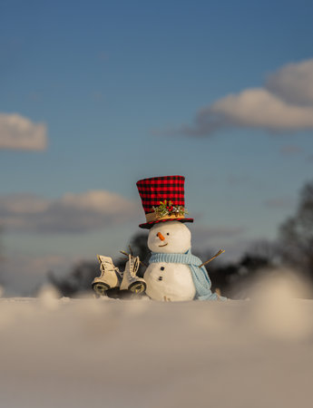 Snowman standing in fresh snow. Snowman on snowy field. Funny winter snow man scene. Cute snowman in snow winter. Winter snowman portrait.の写真素材