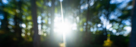 Green forest. Spring plants in a blurred green background. Natural green meadow with glowing foliage overlay. Dreamy green forest scene with sunlight. Soft focus greenery for eco templates.の写真素材
