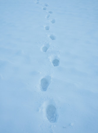 Step along frozen pathway. Step impressions in winter snow. Footstep on frosty path. Snow steps...