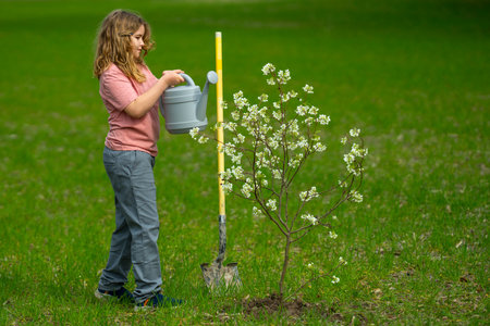 Child planting and watering tree in the garden. Spring activity of planting trees. Child work with...