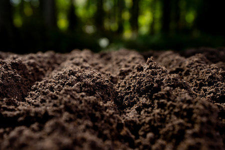 Fertile farm soil background. Humus and clay. Cultivated ground in rural farm field. Freshly plowed earth. Organic compost mixed into farm soil. Fertile soil. Groundwork and soil for cultivation.の写真素材