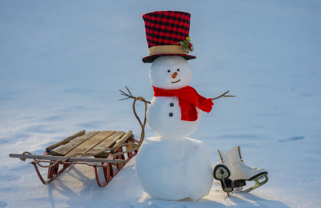 Winter snowman with carrot nose, scarf, and hat standing in deep snow, calm seasonal mood, perfect for Christmas cards, winter celebration themes, and festive backgrounds.の写真素材