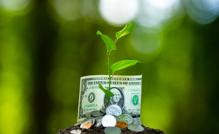 Save money. Coins and seedling. Concept of saving and financial growth. Saving money. Investment and income. Financial savings. Financial growth. Saving coins with growing plant. Business growth.の写真素材