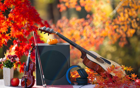 Autumn music with guitar violin and speakers. Fall music background. The forest melody of autumn. Autumn music of fall. Guitar and violin rest among autumn leaves.の写真素材