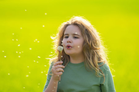 Cute blonde child face. Kid blows a dandelion on summer field. Kids portrait close-up. Kid with dandelions. Kid free and carefree. Dandelion near child face. Kids freedom. Kids dreaming face.の写真素材