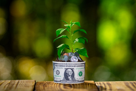 Green plant growing with coins. Coin with growing plant. Money growth and business finance concept.の写真素材