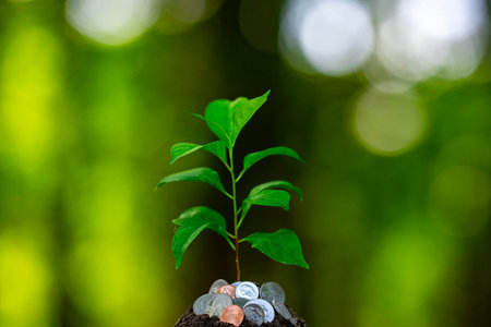 Growing cash tree. Coins and sprouts for investment success. Capital growth. Green tree with money....