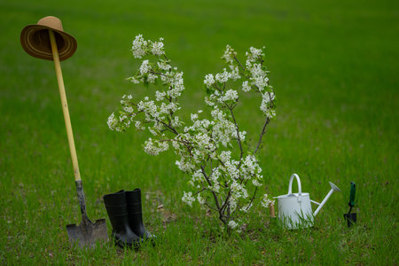 Gardening in spring background. Planting tree in spring. Cultivate backyard orchard. Farm on green...