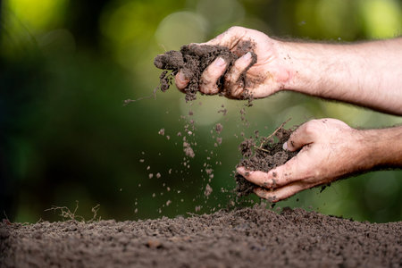 Soil concept. Hands holding fertile soil. Checking soil. Dirty clay and organic fertilizer. Eco...