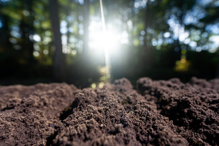 Soil and organic fertilizer concept. Farming with soil. Earth care and melioration. Natural fertile soil.の写真素材