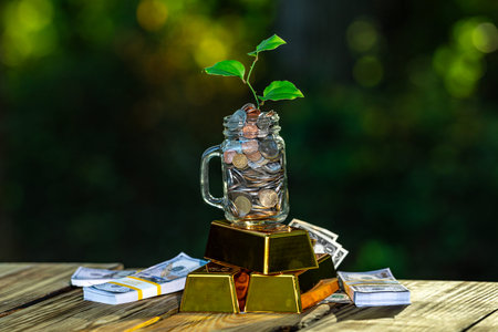 Growing plant with money coins concept. Financial growth and income. Investment development....