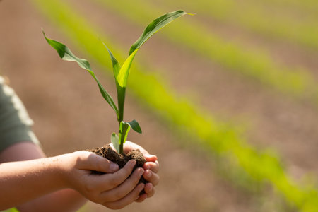 Child planting seed in soil. Kid holding corn sprout. Young boy farming in spring. Child hand with...